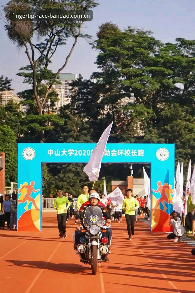 半岛手机综合体育登录国内赛事直击实用指南：从指尖到赛场的速度革命